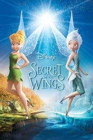 راز بال‌ها  Secret of the Wings