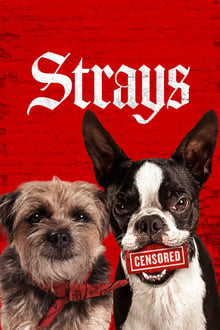 ولگردها  Strays